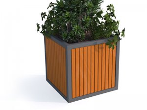 Blomkruka - Stadskruka