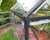 Växthus Harmony i Polykarbonat 5,7 m² MörkGrå - Canopia