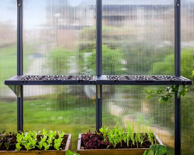 Hyllor Till Växthus 6st - Canopia Leaves - Canopia
