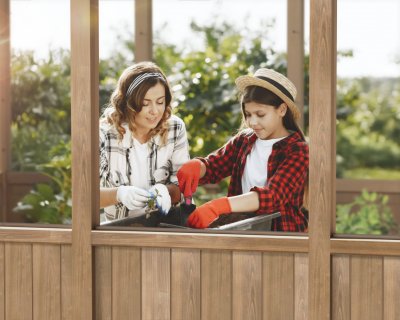 Canopia Natura 8,6m² - Växthus i cederträ, byggsats