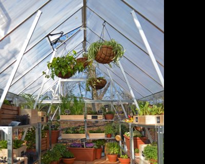 Växthus Balance i Polykarbonat 11,9 m² Silver - Canopia