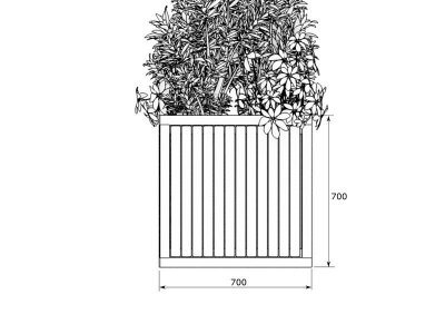 Blomkruka - Stadskruka